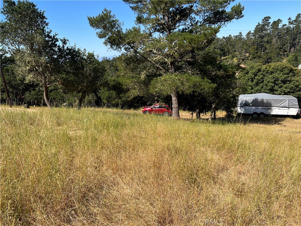 MLS #SC25120944 image #4