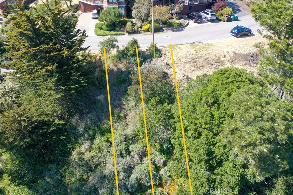 MLS #SC25121112 image #1