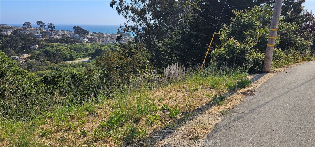 MLS #SC25121112 image #4