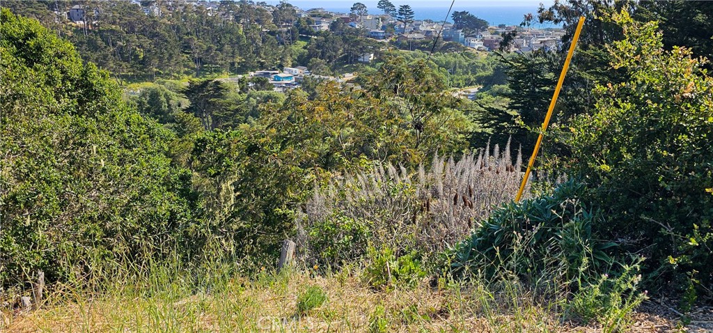 MLS #SC25121112 image #5