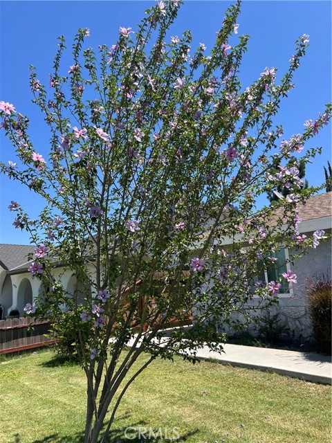 MLS #SC25134163 image #2