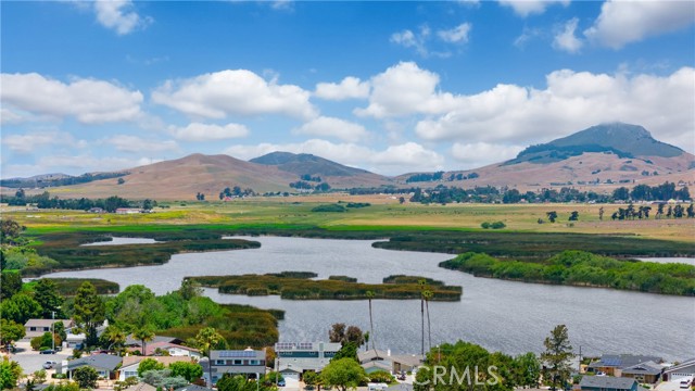 MLS #SC25135643 image #48