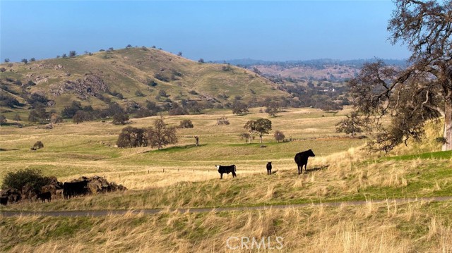 MLS #SC25145378 image #18