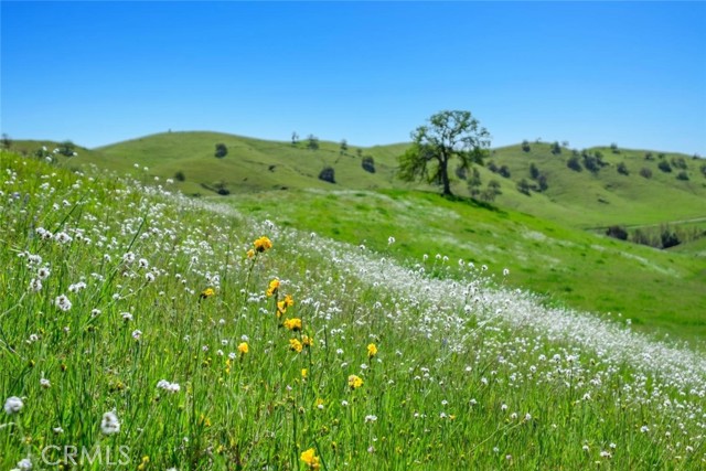 MLS #SC25145378 image #56