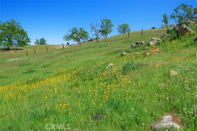 MLS #SC25145378 image #57