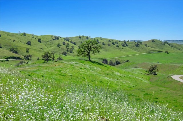 MLS #SC25145378 image #58