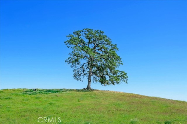 MLS #SC25145378 image #59