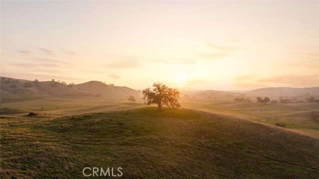 MLS #SC25145378 image #7