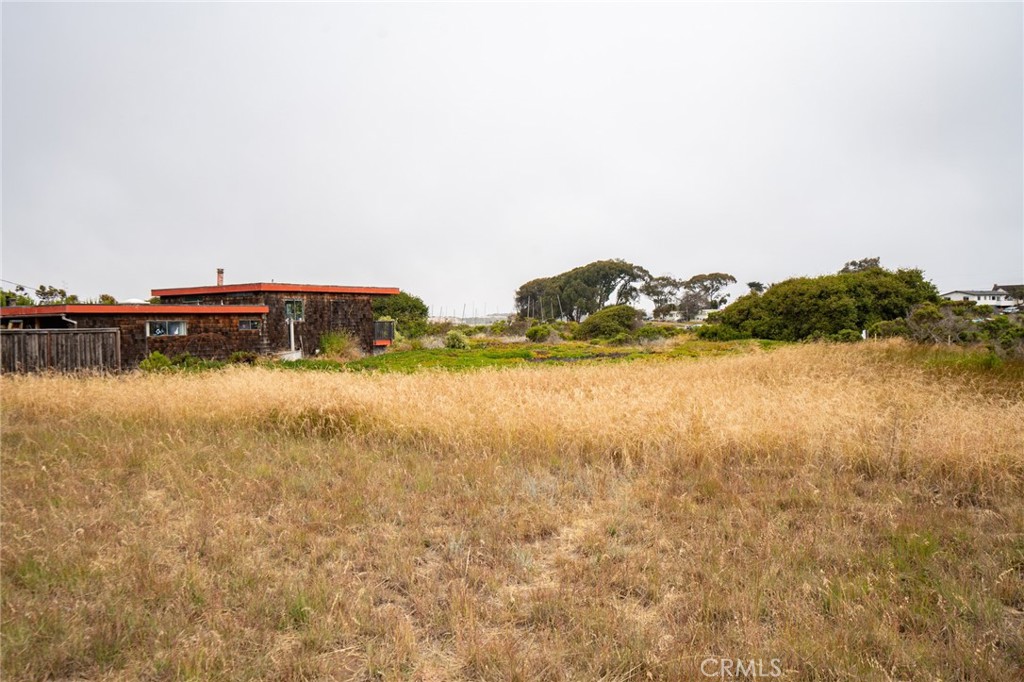 MLS #SC25146035 image #8