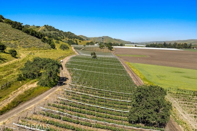 MLS #SC25147093 image #5