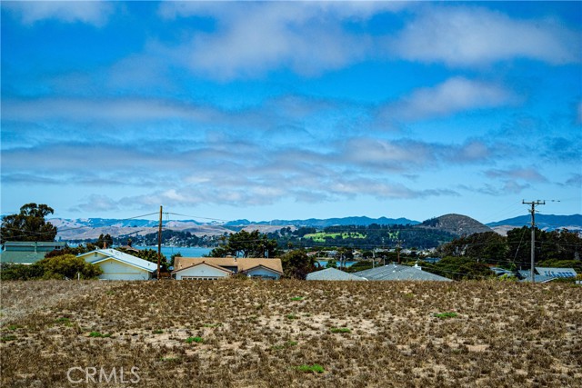 MLS #SC25149197 image #4