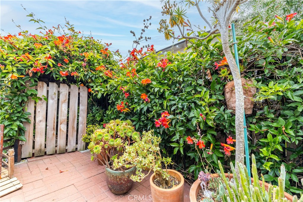 MLS #SC25149621 image #35