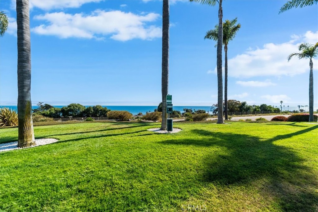 MLS #SC25152777 image #50