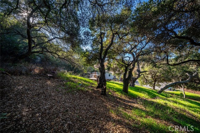 MLS #SC25162058 image #7