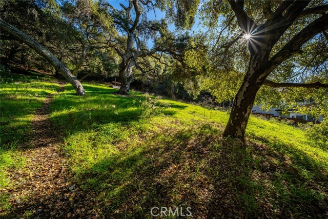 MLS #SC25162058 image #8