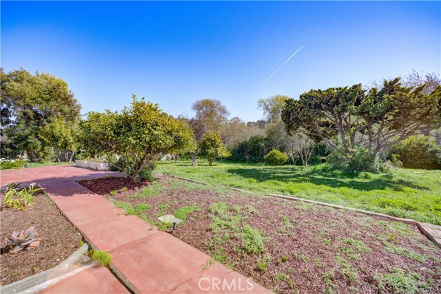 MLS #SC25162437 image #45