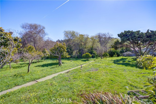 MLS #SC25162437 image #48