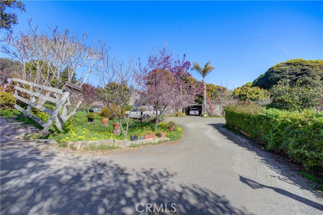MLS #SC25162437 image #51