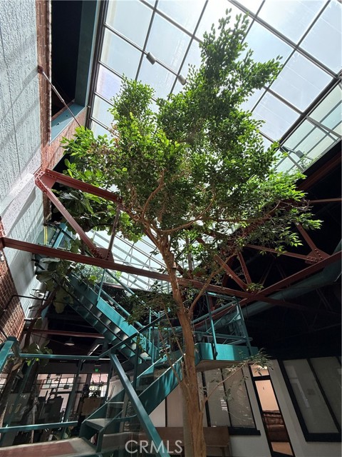 MLS #SC25165883 image #18