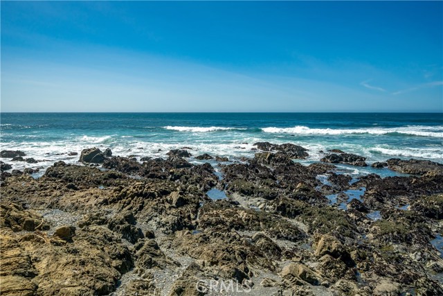 MLS #SC25167801 image #24