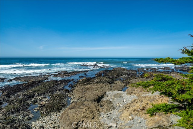 MLS #SC25167801 image #33
