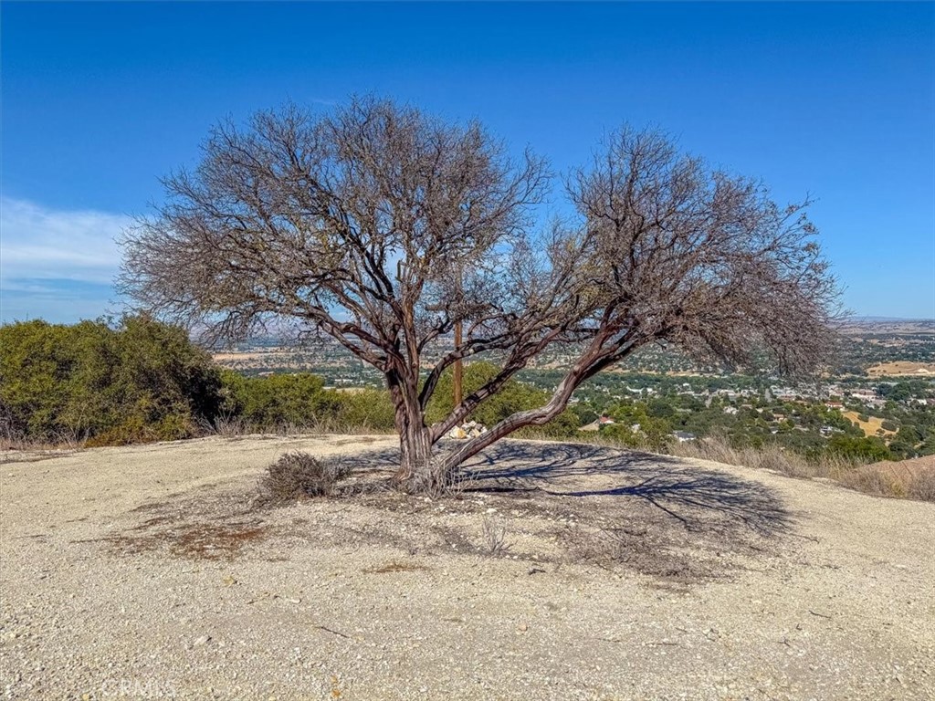 MLS #SC25171702 image #25