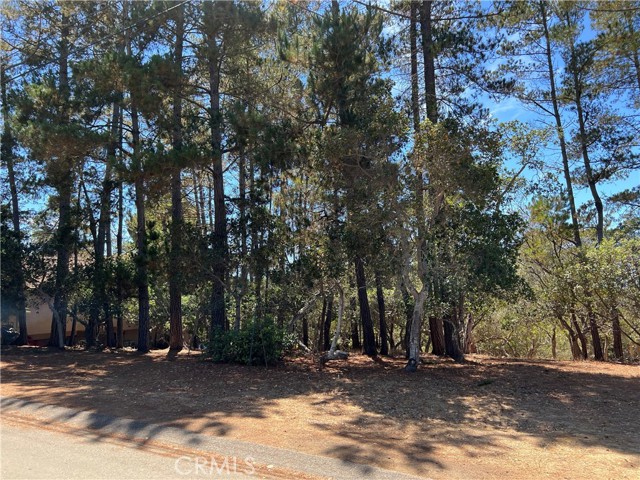 MLS #SC25174055 image #7