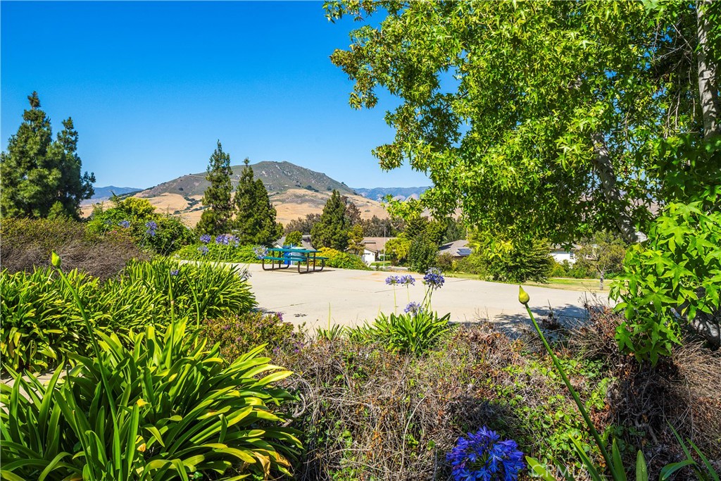 MLS #SC25178309 image #34