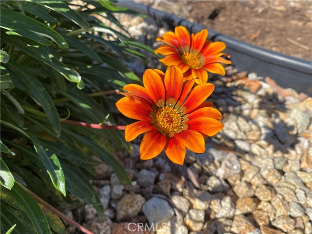 MLS #SC25185703 image #24