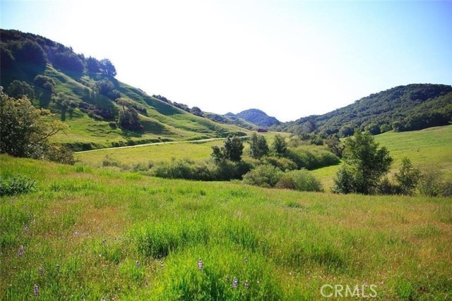 MLS #SC25189165 image #1