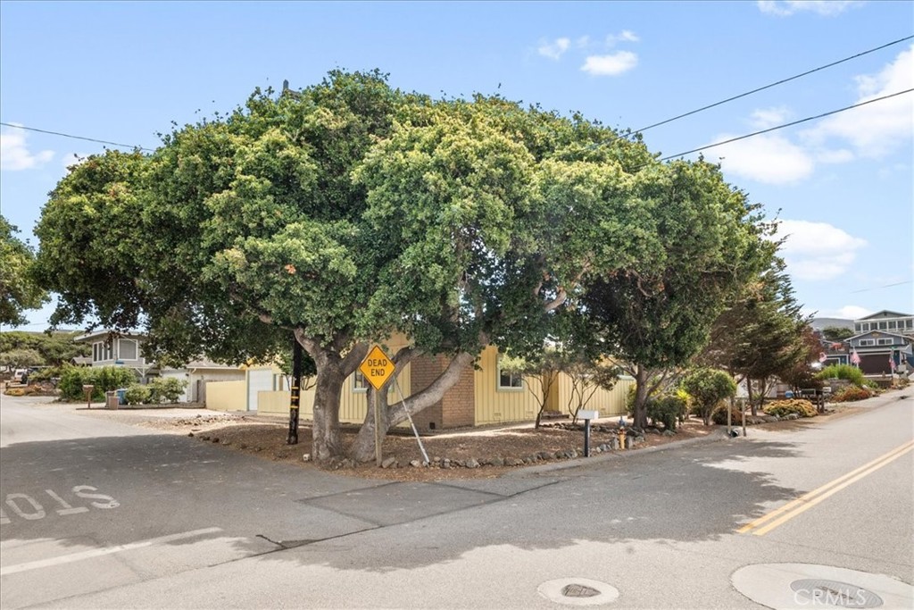 MLS #SC25194457 image #3