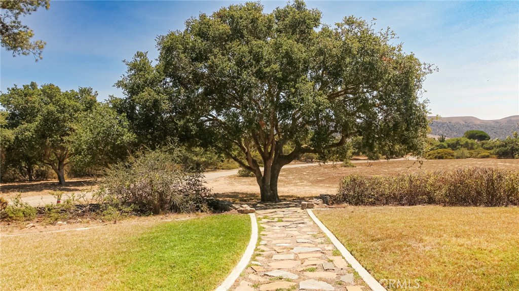 MLS #SC25194746 image #12