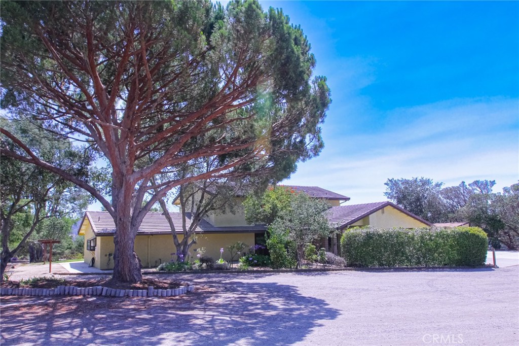 MLS #SC25194746 image #14