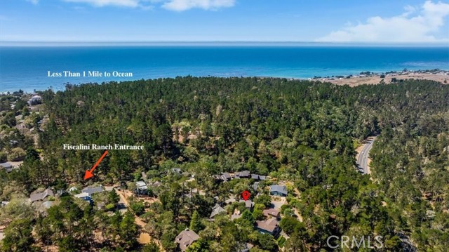 MLS #SC25195545 image #63