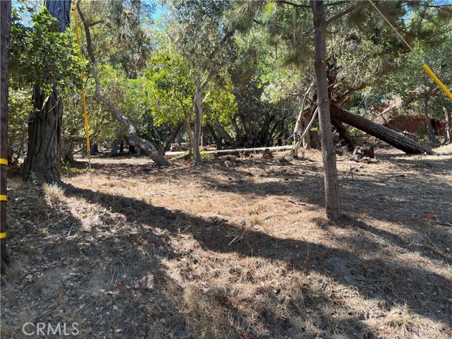 MLS #SC25198747 image #0