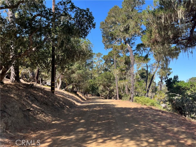 MLS #SC25198747 image #1