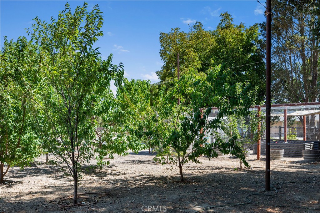 MLS #SC25217813 image #27