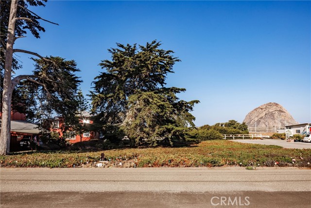 MLS #SC25220419 image #34