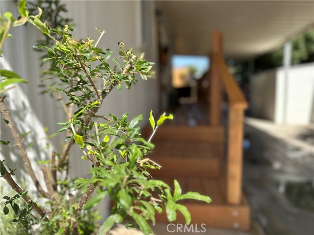 MLS #SC25220460 image #30