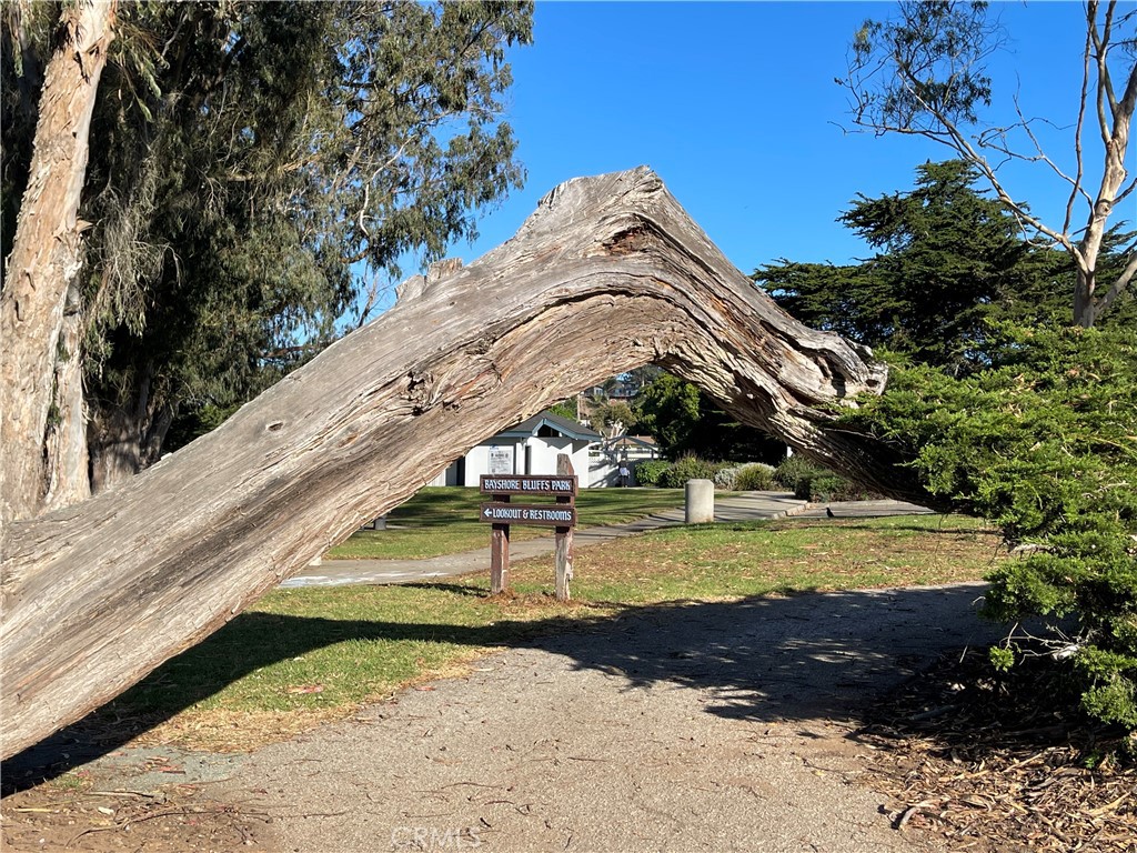 MLS #SC25221685 image #38