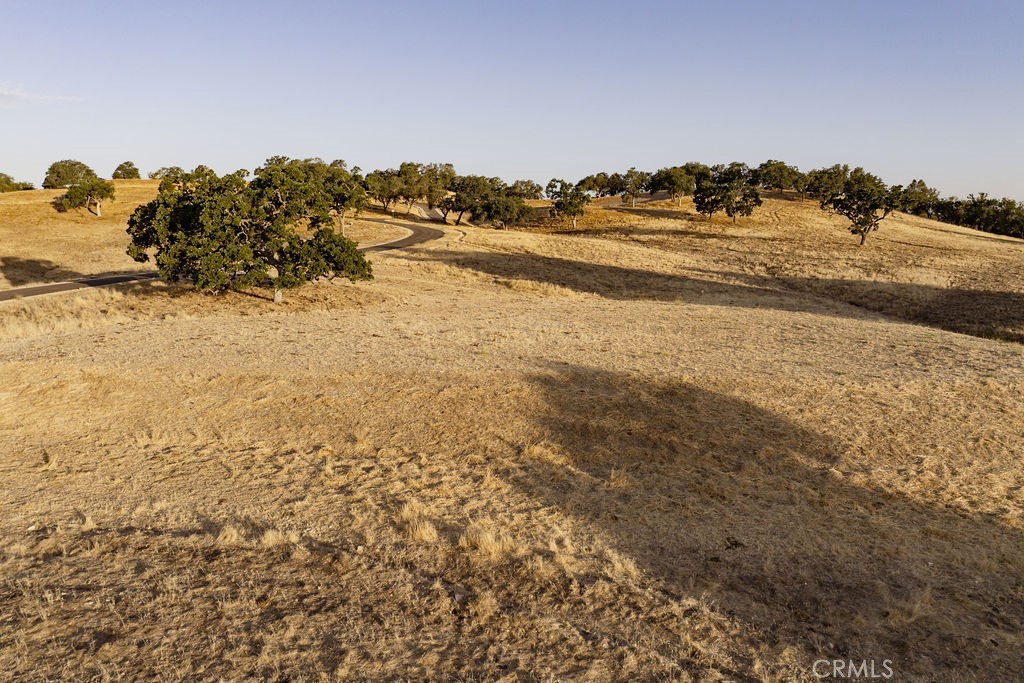 MLS #SC25222585 image #5