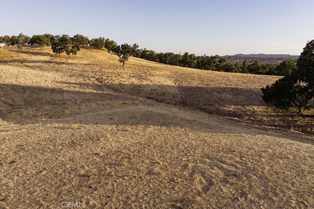 MLS #SC25222585 image #6