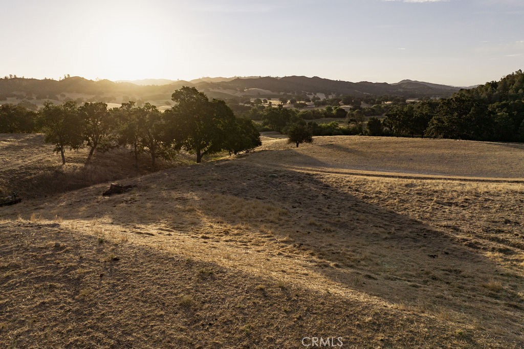 MLS #SC25222585 image #7