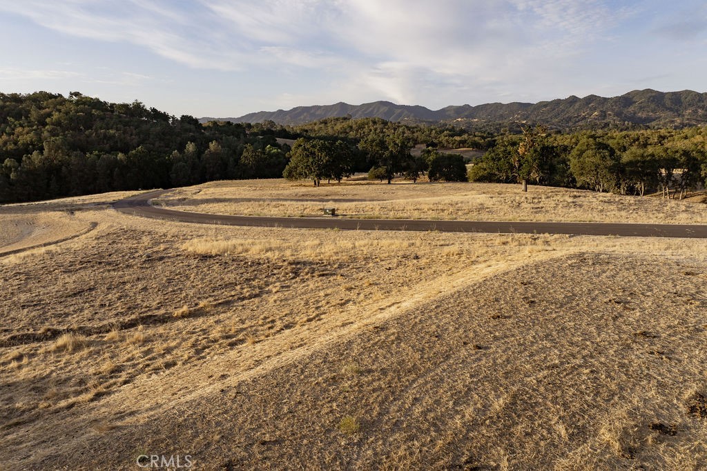 MLS #SC25222585 image #8