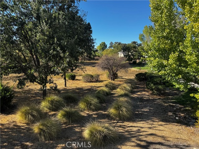 MLS #SC25230890 image #42