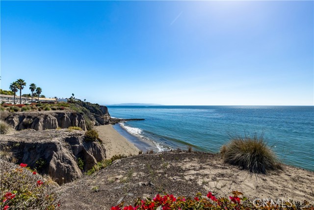 MLS #SC25231917 image #42