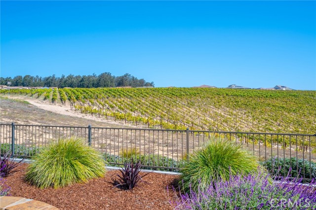 MLS #SC25233879 image #64