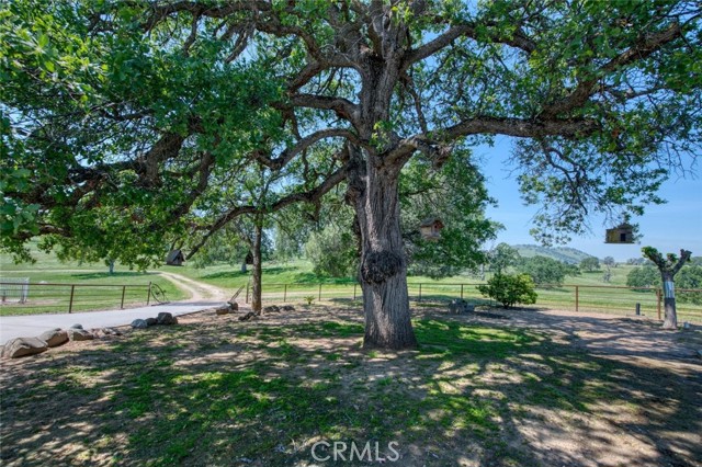 MLS #SC25237818 image #19