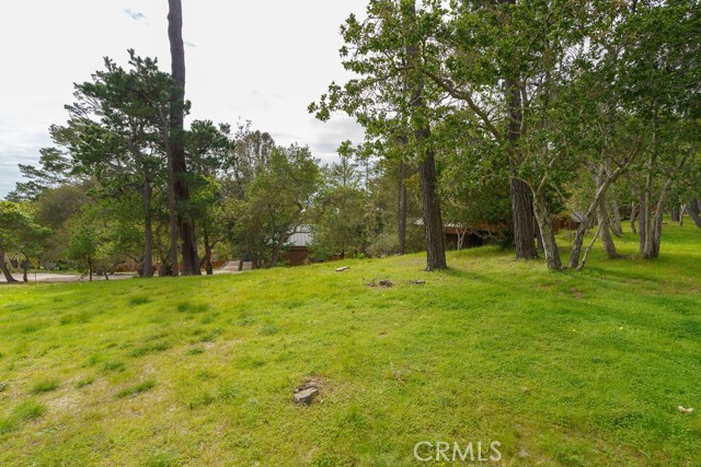 MLS #SC25239952 image #55