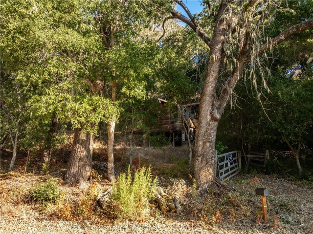 MLS #SC25241035 image #6
